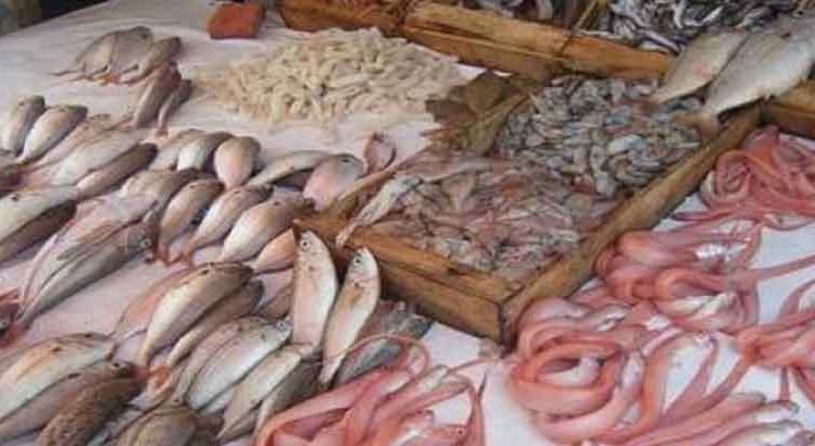 السمك تشتعل بالأسواق المغربية وسط صمت مريب من الحكومة